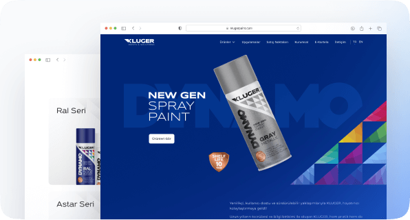 Kluger Projesi